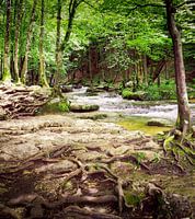 Watervallen van Herisson in de Jura in Frankrijk
