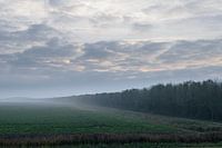 Innendeichs - Außendeichs Foto 21