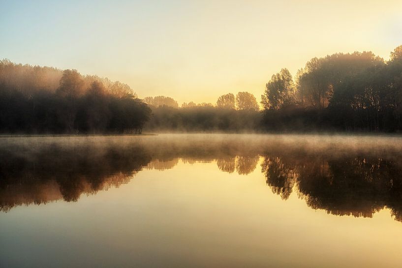 Golden Dawn by Cho Tang