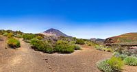 Weg nach Teide