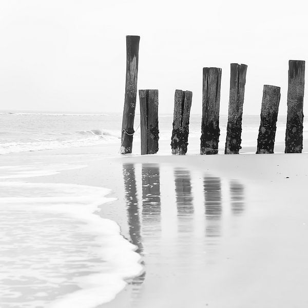 WÄCHTER IM WIND von HANS VAN DAM