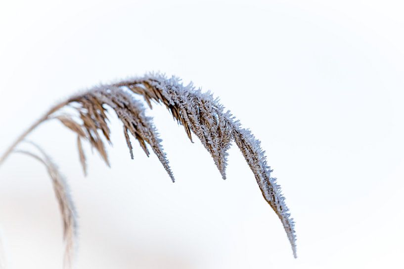 Leusden by Gerard Glavimans