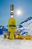 Pallini Limoncello - im Winter