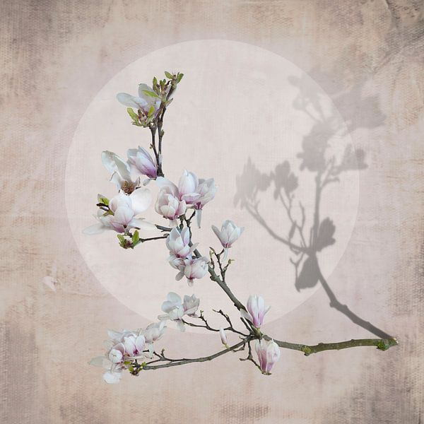 Magnolia avec lune. Rose. par Alie Ekkelenkamp