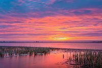 Sunrise over the Boschwijde