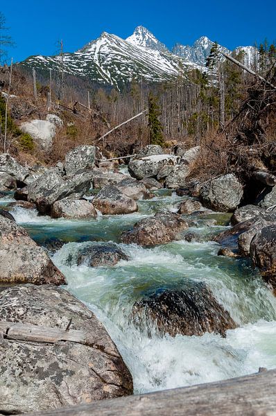 Tatra gebergte Slowakije von Jaco Visser