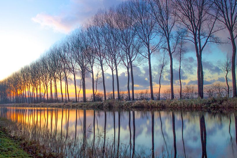 Damme Canal by Zander Proost