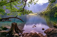 Obersee