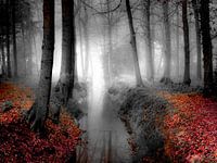 The Old Martial law near Millingen