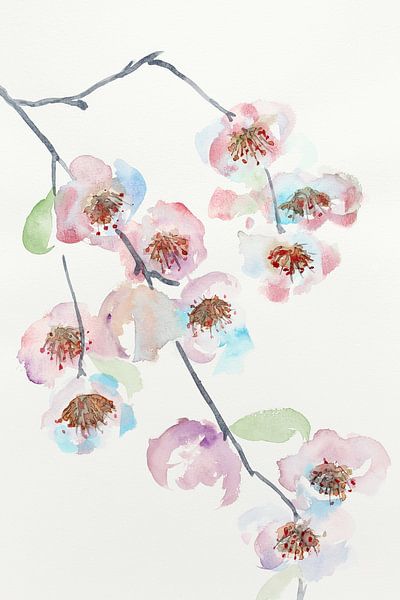 The blossom branch (cheerful watercolor painting flowers plants beautiful soft pastel colors spring  by Natalie Bruns