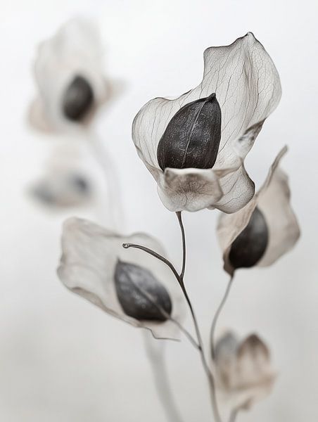 Dry Flower Detail No 12 von Treechild