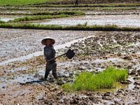 Working with a smile