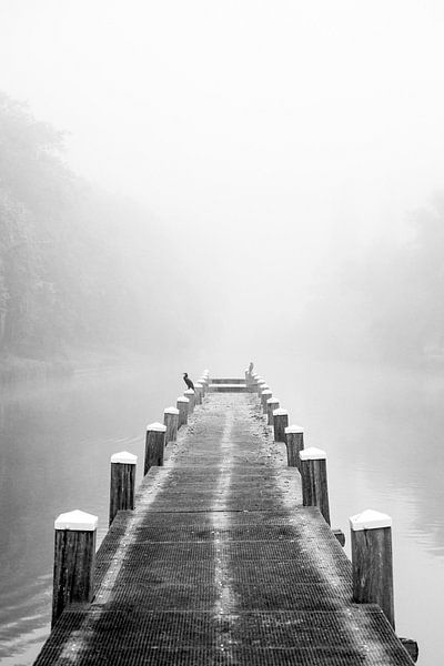 Jetée dans un canal avec un grand cormoran assis au loin par Sjoerd van der Wal Photographie