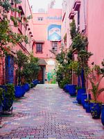 Rue rose avec pots de fleurs bleus à Marrakech