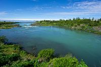 Island - Türkisfarbenes Wasser eines Flusses zwischen grünen Pflanzen, der ins Meer fließt