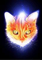 Whiskers and Wonder Cute Funny Cat