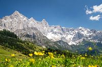 Mountains, blue sky and green meadows