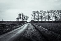Straße im Polder Groningen