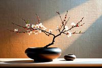 Japandi still life: Blossoming cherry blossom on vase