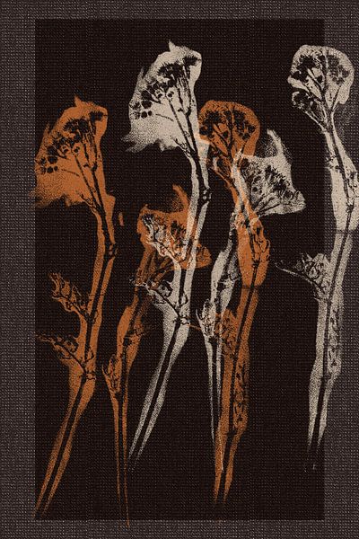 Blumen in gebranntem Orange und Creme auf braunem Leinenlook. von Dina Dankers