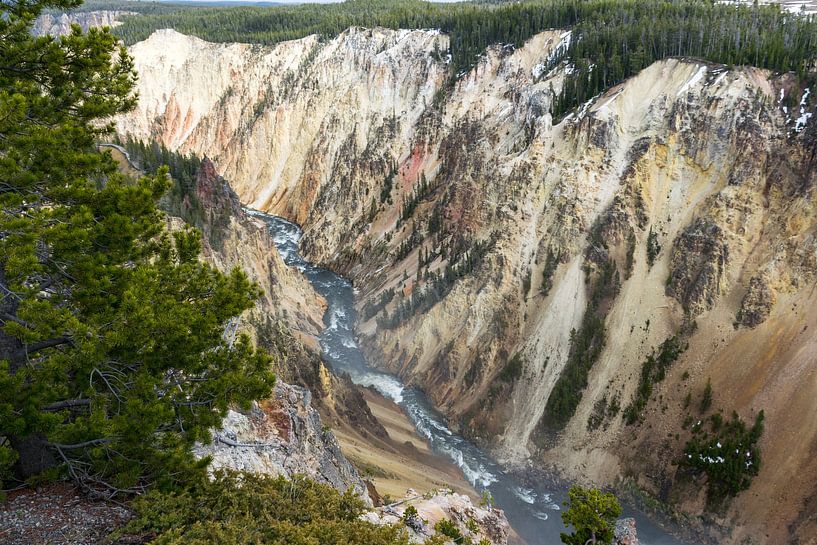 Le Grand Canyon de Yellowstone en Amérique par Linda Schouw