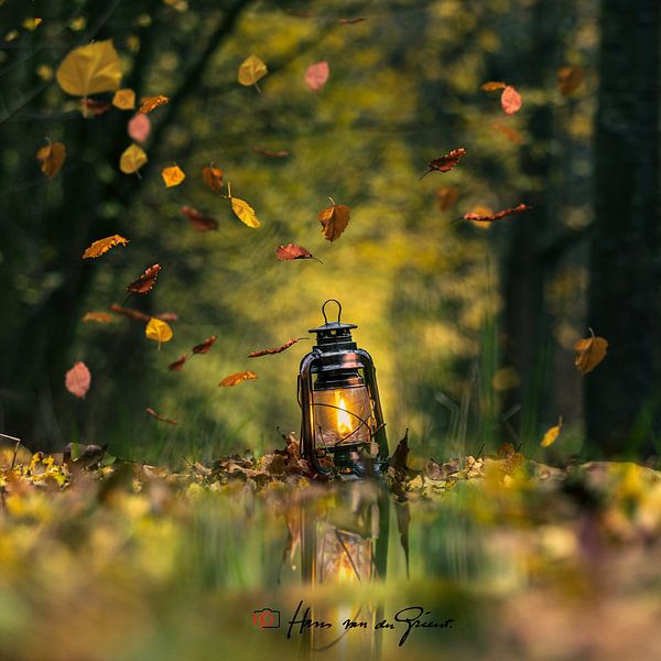 Tanzende Blätter von Hans van der Grient