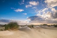 The dunes on Ameland