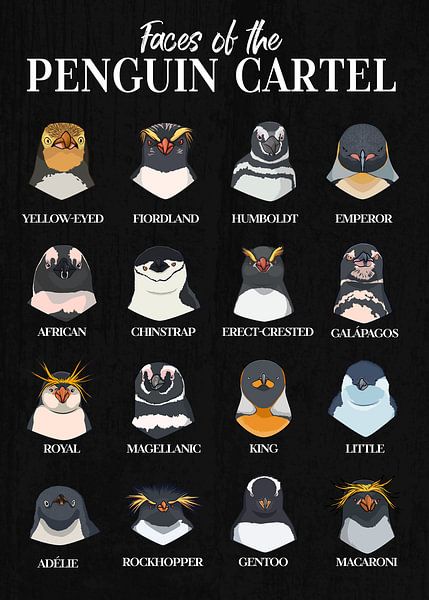 Pinguin Arten im Überblick - Faces of the Penguin Cartel von Pixelbull Design