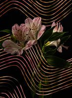 Rosa Lilien mit grafischem Digitalschnitt