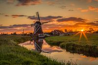 Mill De Jonge Held Held Sleep still