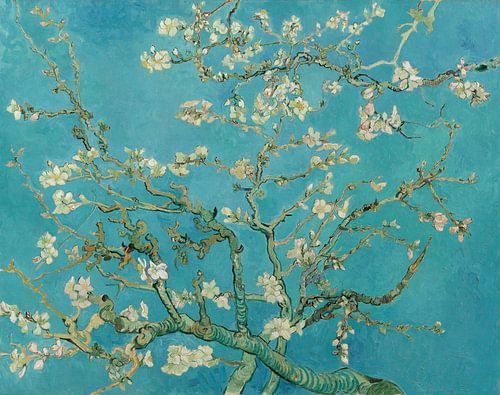 Vincent van Gogh op canvas en meer - Werk aan de Muur