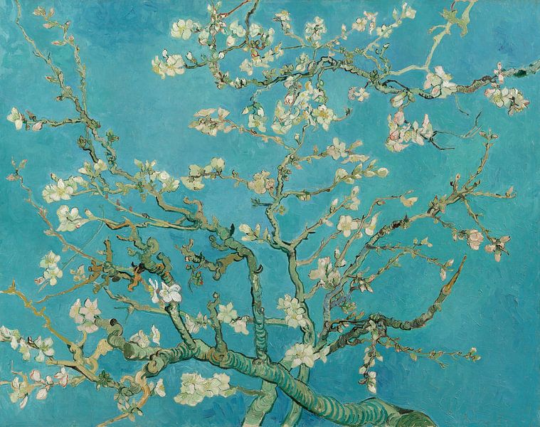 Almond blossom painting by Vincent van Gogh by Schilders Gilde