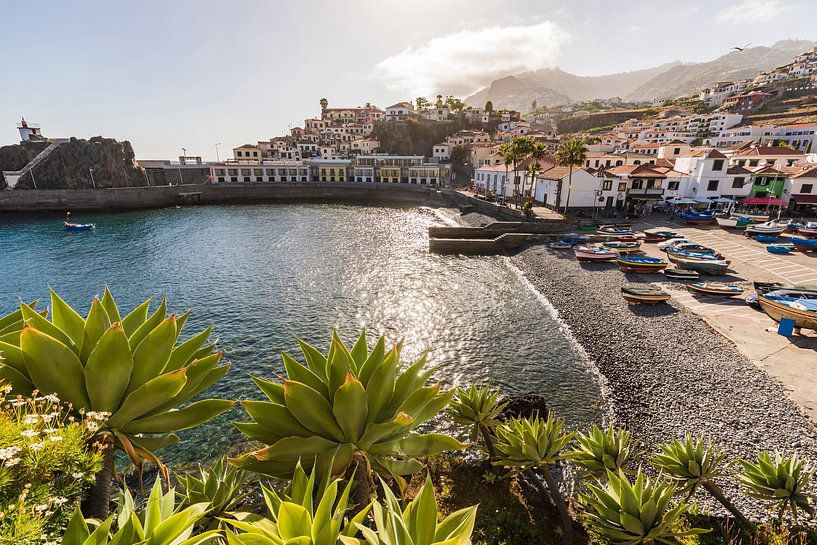 Câmara de Lobos on the island of Madeira by Werner Dieterich