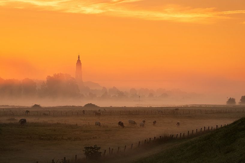 Orange view of the Cunerakerk Rhenen by Moetwil en van Dijk - Fotografie