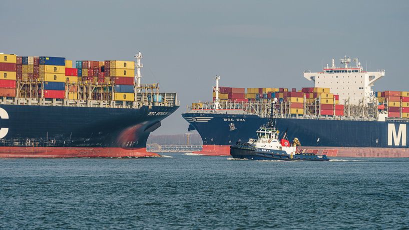 MSC Eva ontmoet zusterschip MSC Benedetta XIII. van Jaap van den Berg