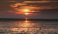 Ondergaande zon bij Wierum