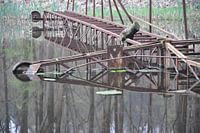 werken in het waterloopbos 