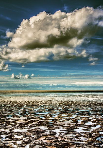 Wad en Wolk par Harrie Muis