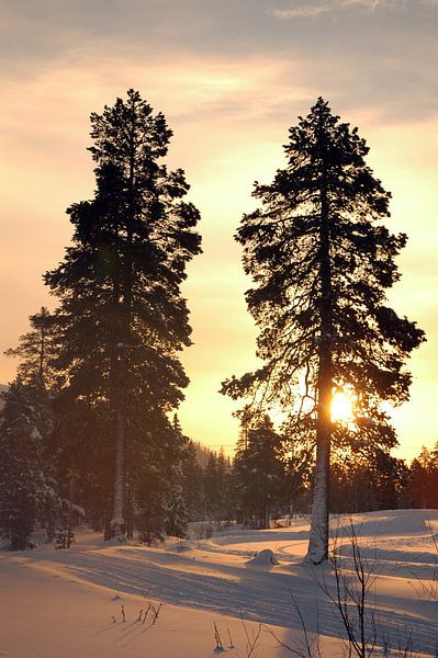 Coucher de soleil suédois par Barbara Koppe