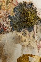 MOS BOOM von der Natur geformt