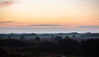 Sunset dune landscape Texel