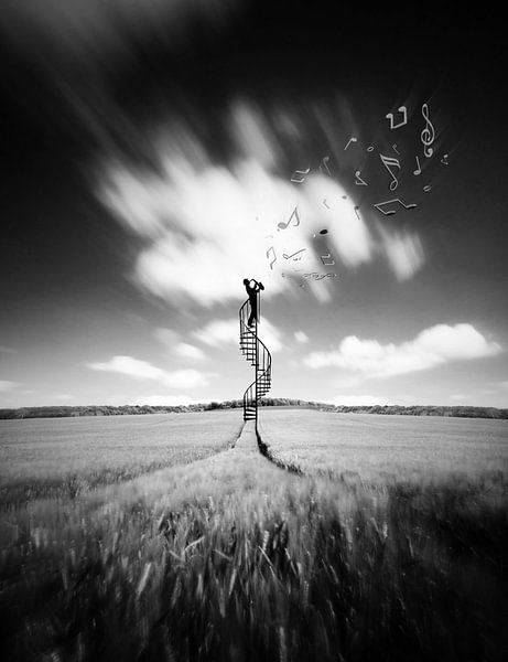 Tous les soirs par Jacky