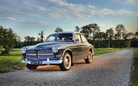 Volvo Amazon in the afternoon sun