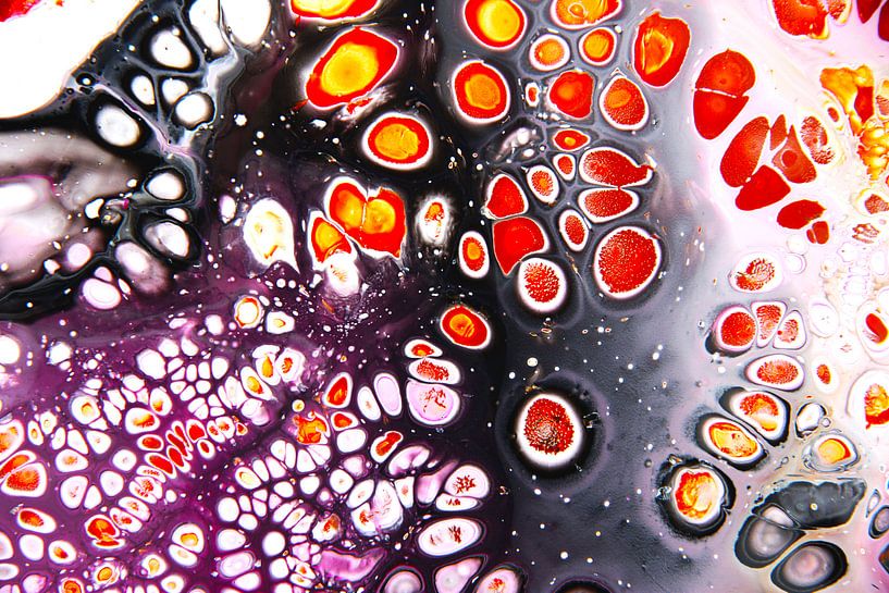 Superzellen von Joke Gorter