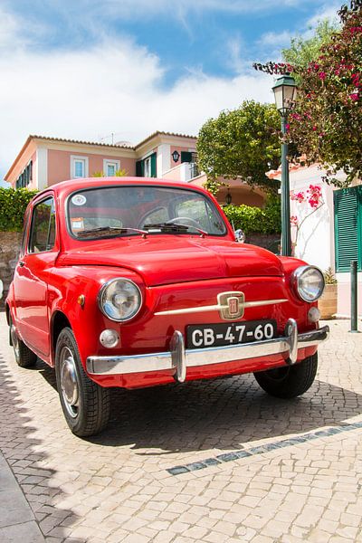 Fiat 600 par Aukelien Philips