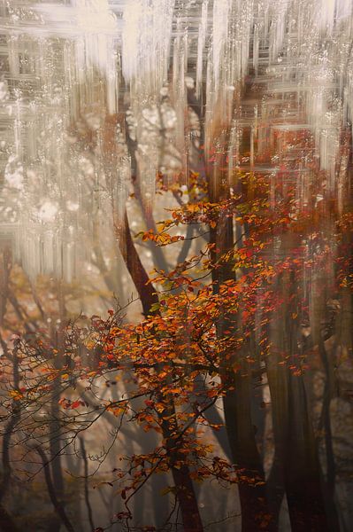 Duno estate part 35 by Tania Perneel