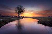 Sonnenaufgang Bienen