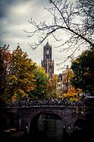Der Dom von Utrecht mit der Bakkerbrug und der Oudegracht im Herbst.