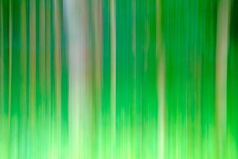 Vert par Kirsten Warner