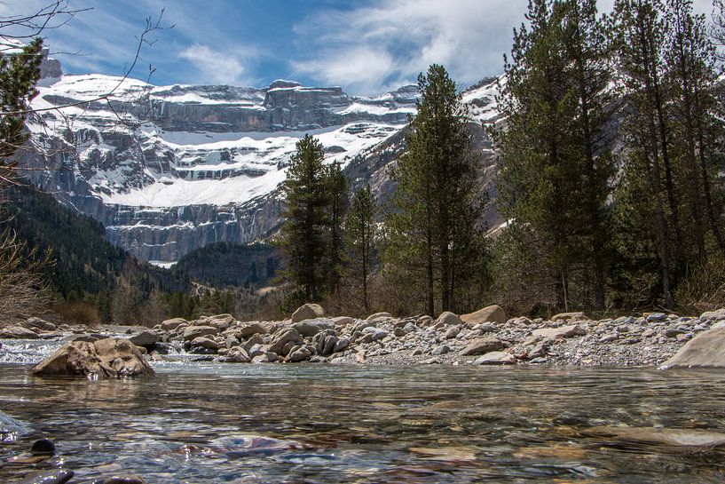 Natuur in Frankrijk par Eveline Peters